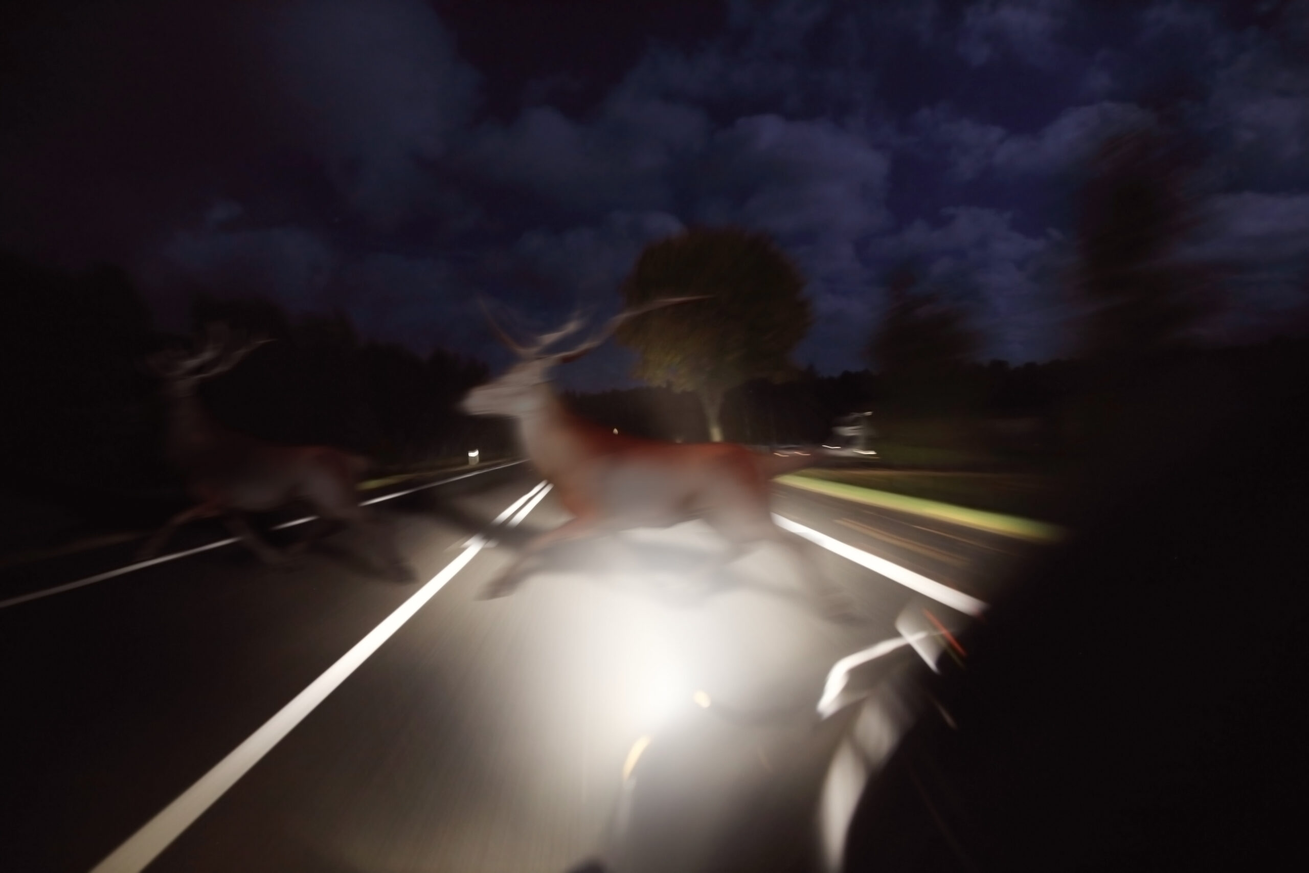 Two deer cross a road at night in front of vehicle headlights, highlighting the importance of collision repair.